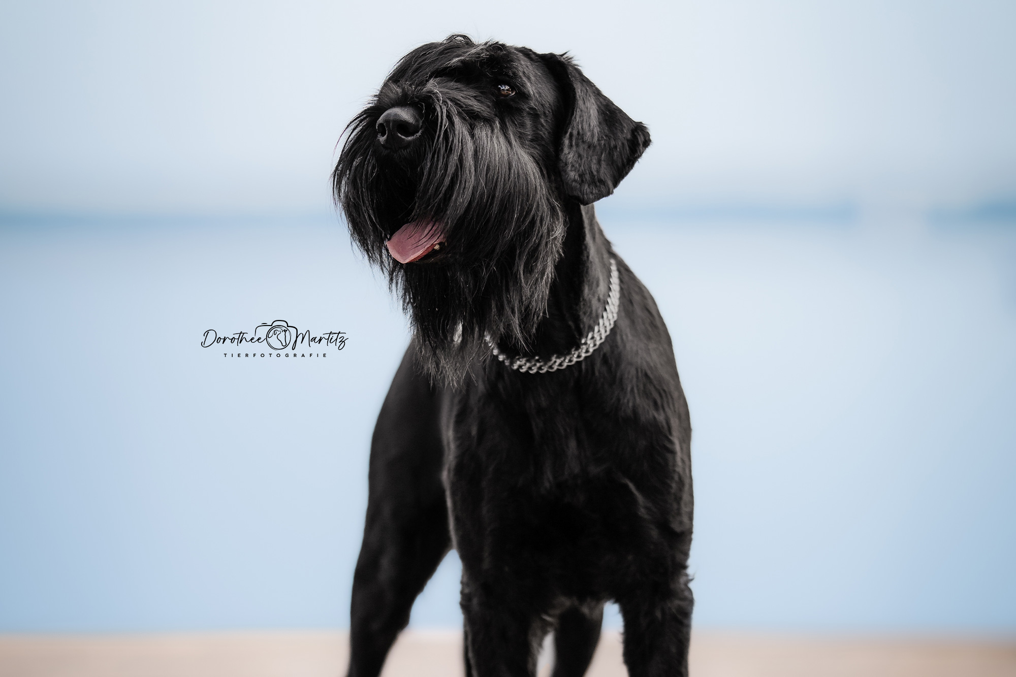 DMFotografie_01_mitLogo_WEB