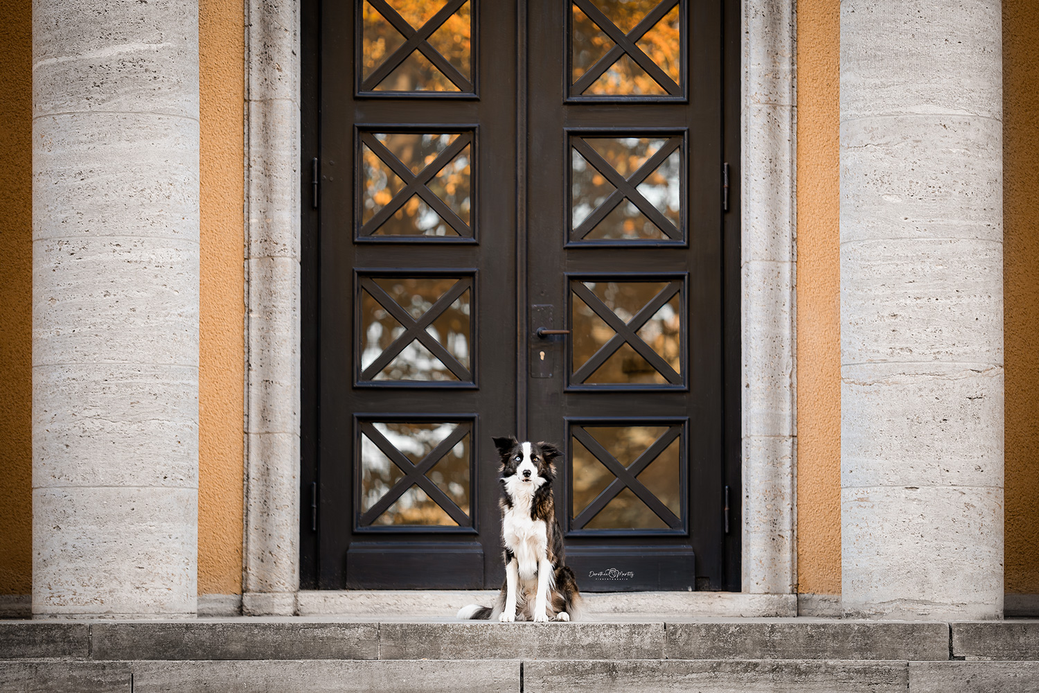 DMFotografie_Bruno_01_mitLogo_WEB